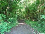 San Patricio Forest - GUAYNABO